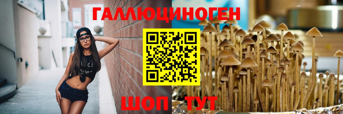 Псилоцибиновые грибы ЛСД Батайск